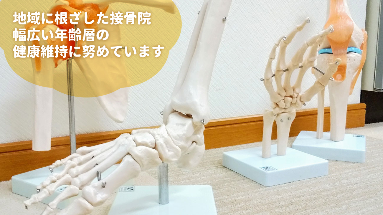 地域に根ざした接骨院、幅広い年齢そうの健康維持に努めています
